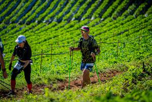 BIB: 
                            <button type="button" onclick="openModal(19161521)" class="btn btn-primary btn-sm float-right btn-popup" data-toggle="modal" data-target=".modal-high-quality">
                        <i class="fas fa-shopping-cart"></i> Add to Cart
                    </button>
                                            <button type="button" onclick="isThisMe(19161521, true)" class="btn btn-success btn-sm float-right btn-popup btn-isme hidden" data-toggle="tooltip" data-placement="bottom" title="นี่คือรูปของคุณใช่ไหม คลิกที่นี่เพื่อเอาเข้าอัลบั้ม">
                        <i class="fas fa-plus"></i> Add to album
                    </button>
                    <button type="button" onclick="isThisMe(19161521, false)" class="btn btn-warning btn-sm float-right btn-popup btn-isnotme hidden">
                        <i class="fas fa-ban"></i> Remove from album
                    </button>